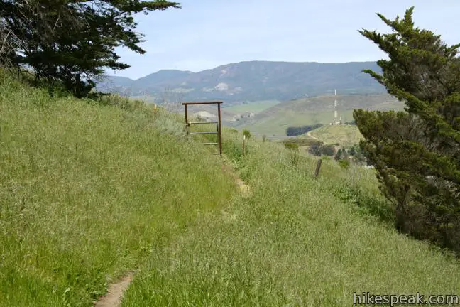 Lemon Grove Loop Trail | San Luis Obispo | Hikespeak.com