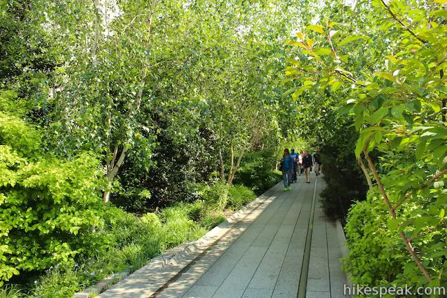 Chelsea Thicket High Line Trail