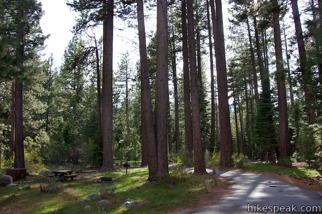 Fallen Leaf Campground