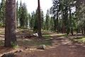 Moraine Trail Fallen Leaf Lake Day Use Area