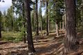 Moraine Trail Lake Tahoe