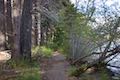 Moraine Trail Fallen Leaf Lake