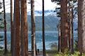 Fallen Leaf Lake Hike