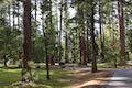 Fallen Leaf Campground