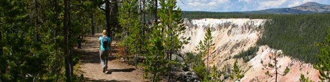 Point Sublime Trail South Rim Hike Grand Canyon of the Yellowstone River in Yellowstone National Park